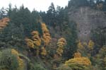 2008_10_30_Mult_Falls_12mi_0003