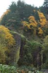2008_10_30_Mult_Falls_12mi_0007