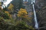 2008_10_30_Mult_Falls_12mi_0020