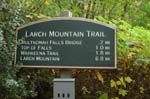 2008_10_30_Mult_Falls_12mi_0021