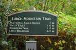 2008_10_30_Mult_Falls_12mi_0022