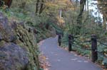 2008_10_30_Mult_Falls_12mi_0033