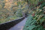2008_10_30_Mult_Falls_12mi_0035