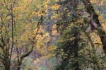 2008_10_30_Mult_Falls_12mi_0038