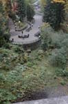 2008_10_30_Mult_Falls_12mi_0044