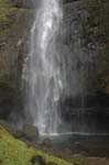 2008_10_30_Mult_Falls_12mi_0059