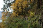2008_10_30_Mult_Falls_12mi_0060