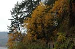 2008_10_30_Mult_Falls_12mi_0062