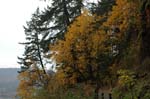 2008_10_30_Mult_Falls_12mi_0063