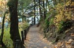 2008_10_30_Mult_Falls_12mi_0068