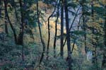 2008_10_30_Mult_Falls_12mi_0074
