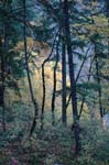 2008_10_30_Mult_Falls_12mi_0075