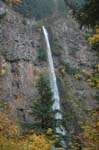 2008_10_30_Mult_Falls_12mi_0077