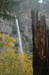 2008_10_30_Mult_Falls_12mi_0080