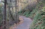 2008_10_30_Mult_Falls_12mi_0083