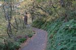 2008_10_30_Mult_Falls_12mi_0084