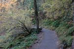 2008_10_30_Mult_Falls_12mi_0085