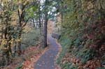 2008_10_30_Mult_Falls_12mi_0086