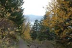 2008_10_30_Mult_Falls_12mi_0093