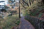 2008_10_30_Mult_Falls_12mi_0094
