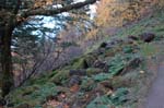 2008_10_30_Mult_Falls_12mi_0098