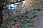 2008_10_30_Mult_Falls_12mi_0099