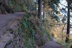 2008_10_30_Mult_Falls_12mi_0105