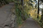 2008_10_30_Mult_Falls_12mi_0106