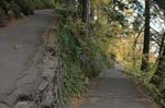 2008_10_30_Mult_Falls_12mi_0107