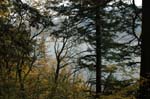 2008_10_30_Mult_Falls_12mi_0108