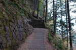 2008_10_30_Mult_Falls_12mi_0109