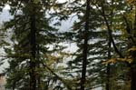 2008_10_30_Mult_Falls_12mi_0111