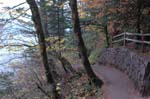 2008_10_30_Mult_Falls_12mi_0115