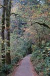 2008_10_30_Mult_Falls_12mi_0125