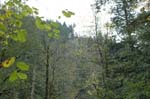 2008_10_30_Mult_Falls_12mi_0126