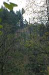 2008_10_30_Mult_Falls_12mi_0127