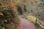 2008_10_30_Mult_Falls_12mi_0132