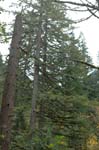 2008_10_30_Mult_Falls_12mi_0133