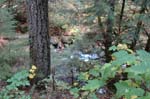 2008_10_30_Mult_Falls_12mi_0134