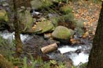 2008_10_30_Mult_Falls_12mi_0136