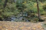 2008_10_30_Mult_Falls_12mi_0137