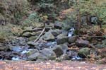 2008_10_30_Mult_Falls_12mi_0138