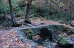 2008_10_30_Mult_Falls_12mi_0139