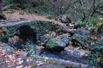 2008_10_30_Mult_Falls_12mi_0140