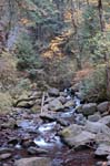 2008_10_30_Mult_Falls_12mi_0143