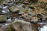 2008_10_30_Mult_Falls_12mi_0144