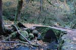 2008_10_30_Mult_Falls_12mi_0145