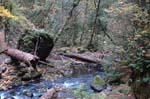 2008_10_30_Mult_Falls_12mi_0146