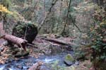 2008_10_30_Mult_Falls_12mi_0147