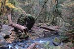 2008_10_30_Mult_Falls_12mi_0148